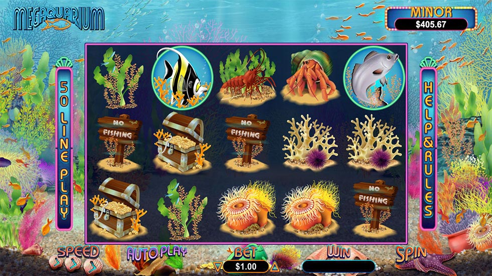 Megaquarium Slot Gameplay